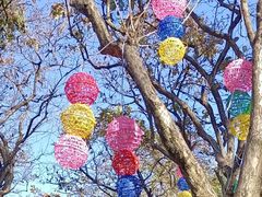 -广州市白云山风景名胜区