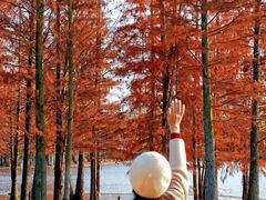 -白鹭湾湿地公园