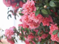 -长沙火车站(地铁站)