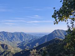 -大岭沟猕猴桃谷风景区
