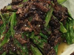 -左陕右甘(亚运村店)