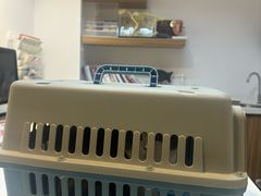 -御宝贝·A梦猫科宠物医院(国际猫友好医院)