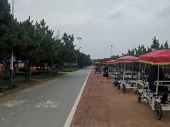 -日照海滨国家森林公园