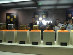 -法门文化景区-合十舍利塔