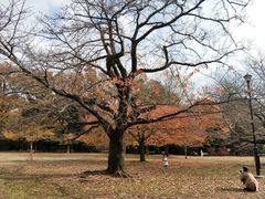 -三鹰之森吉卜力美术馆