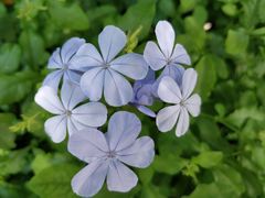 -未思途少儿成长中心(洛森堡校区)