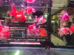 -三旗百汇商品城