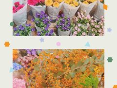 -双季花艺园艺市场(浦东店)