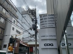 -川久保玲(大阪店)