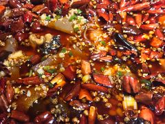 -雲蜀龙阁·金牌水煮鱼(方庄店)