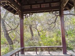 -黑龙江省森林植物园