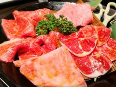 -俺的焼肉(銀座9丁目店)