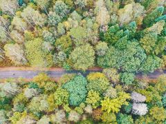 -五营红松林海景区