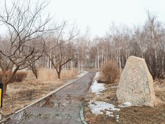 -长春市南湖公园