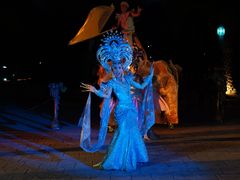 -清迈夜间动物园