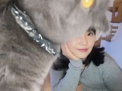 -猫的茶·猫咖