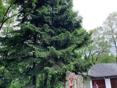 -萨尔浒风景区