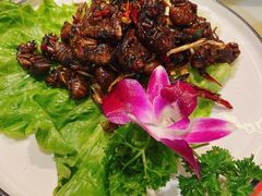 -百味地锅鸡(二店·财校分店)