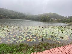-广州市石门国家森林公园