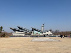 -盐城丹顶鹤湿地生态旅游区