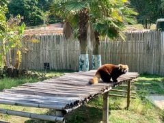 -泉州海丝野生动物世界