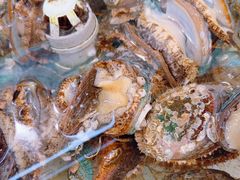 -山海经·海边人家 海鲜新青岛菜(扬州路店)