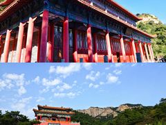 -大芦花风景区
