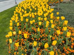 -Aimiqi.Pizza.爱米奇私厨(虹梅路红春大厦店)