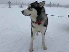 -太子岭滑雪场