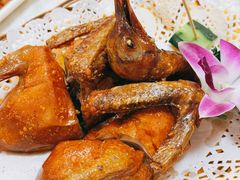-津津菜馆(绝没分店)