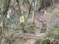 -南山植物园