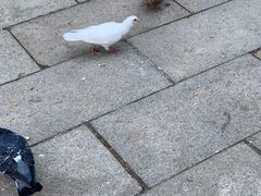 -龙口南山旅游景区