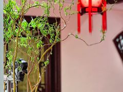 -山水茶艺馆·点心粤菜·30年老字号