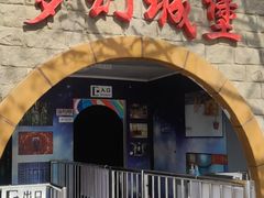 -朝阳公园游乐园