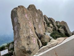 -白草畔自然风景区