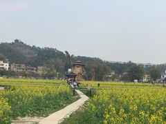 -红山村