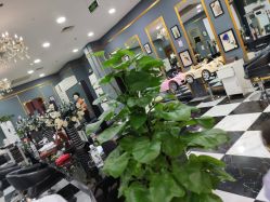 -BHG Hair Salon