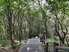 -紫金山山顶公园