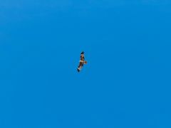 -灌篮高手动画打卡地