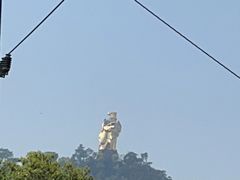 -南山植物园