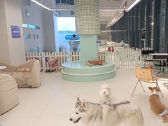 -怪兽屋·羊驼·猫咖·狗咖(俊华广场店)