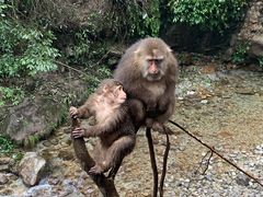 -峨眉山风景名胜区