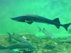 -太平洋海底世界