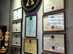 -温鉴良实用咏春拳