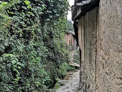 -杨家堂村