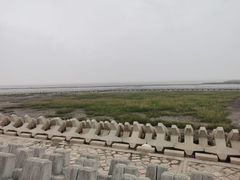 -南汇嘴观海公园