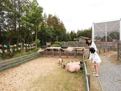 -前小桔亲子创意农场·草莓采摘·露营烧烤