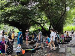 -成都市活水公园