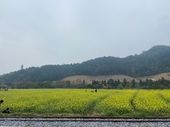 -径山花海