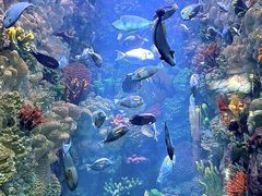 -海合安青岛极地海洋公园